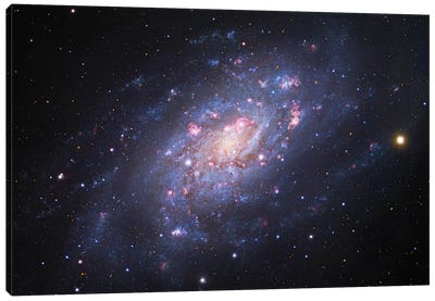 Spiral Galaxy In Camelopardalis (NGC 2403) III Canvas Art Print - Galaxy Art