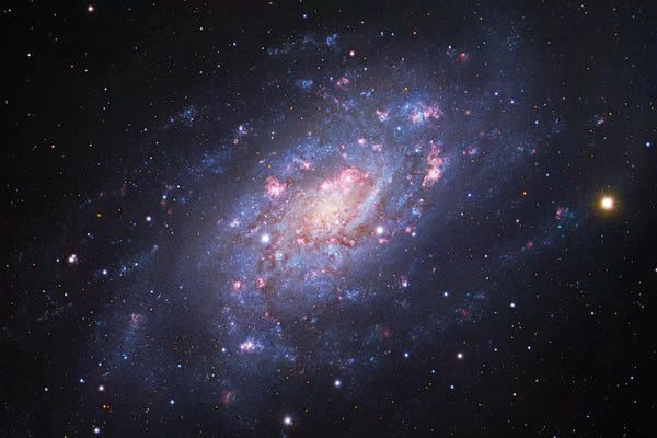 Robert Gendler: Spiral Galaxy In Camelopardalis (NGC 2403) III by Robert Gendler