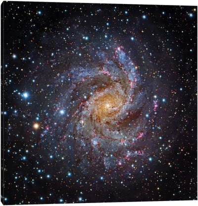 Spiral Galaxy In Cepheus (NGC 6946) Canvas Art Print - Galaxy Art