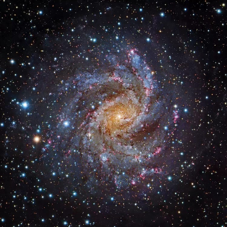Spiral Galaxy In Cepheus (NGC 6946) by Robert Gendler wall art