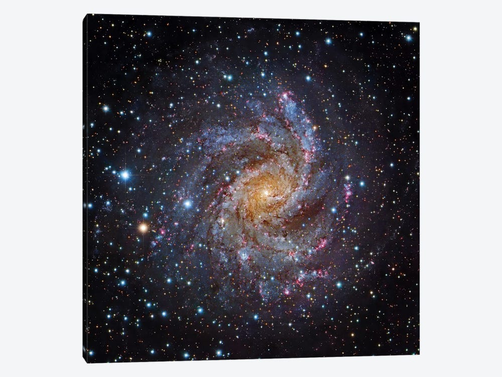 Spiral Galaxy In Cepheus (NGC 6946) by Robert Gendler 1-piece Art Print