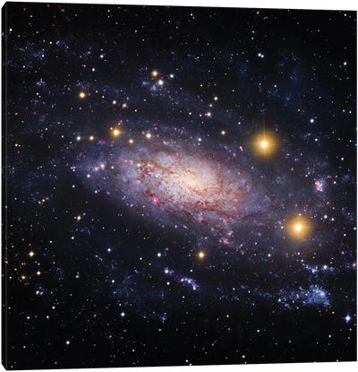 Spiral Galaxy In The Hydra Constellation (NGC 3621) Canvas Art Print - Galaxy Art