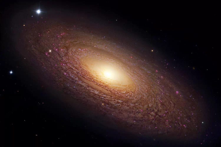 Spiral Galaxy In Ursa Major (NGC 2841)