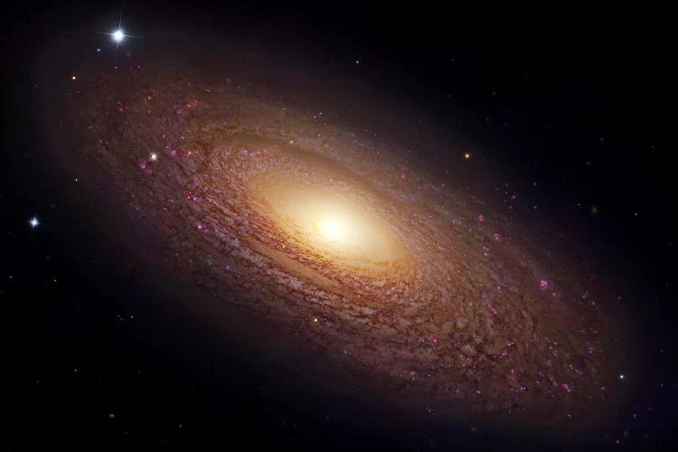 Spiral Galaxy In Ursa Major (NGC 2841) by Robert Gendler wall art