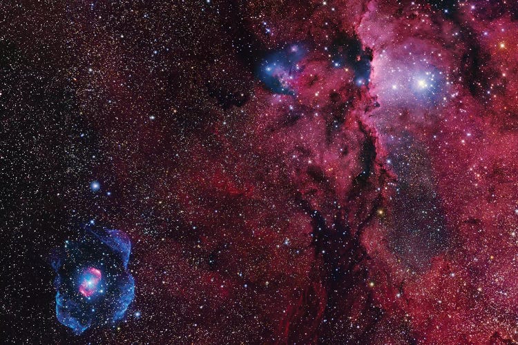 Star Forming Region In Ara (NGC 6188) I by Robert Gendler wall art