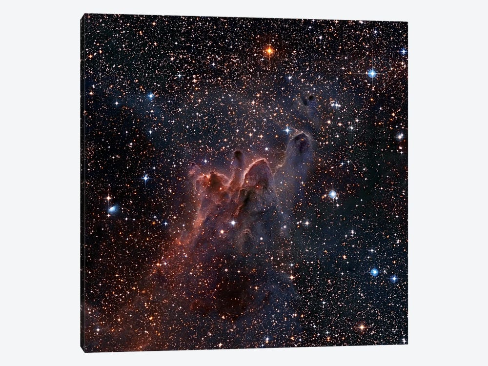 CG-30/31/38 Cometary Globules In Vela/Puppis by Robert Gendler 1-piece Canvas Wall Art