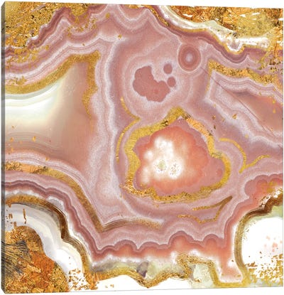 Coral Luster Canvas Art Print - Gilded Geodes