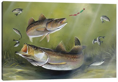 Speckled Trout Canvas Art Print - Geno Peoples