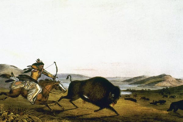 The Granger Collection: Buffalo Hunt, C1830 by Peter Rindisbacher