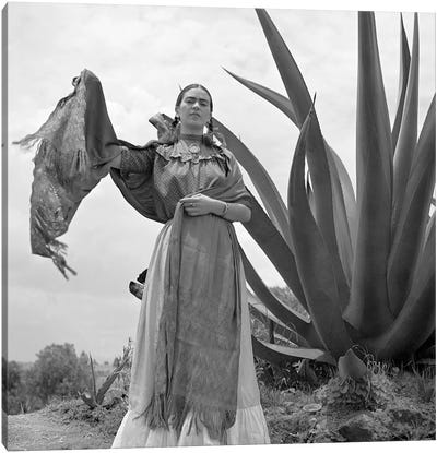 Frida Kahlo (1907-1954) Canvas Art Print - Granger