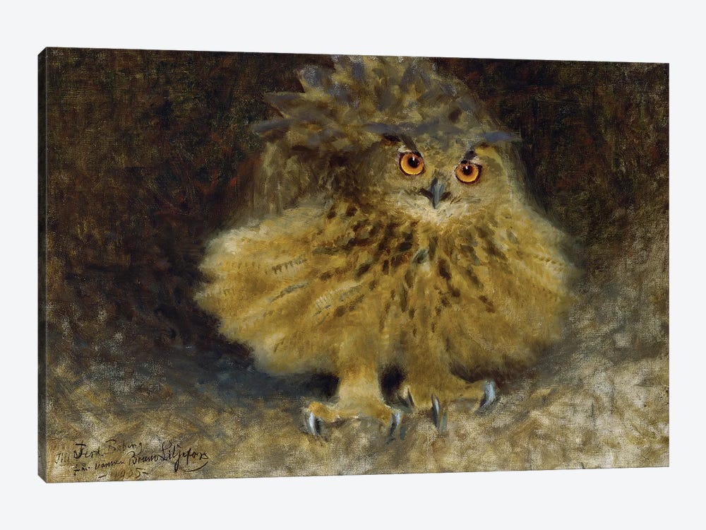 Liljefors: Owl, 1905 by Bruno Liljefors 1-piece Canvas Wall Art