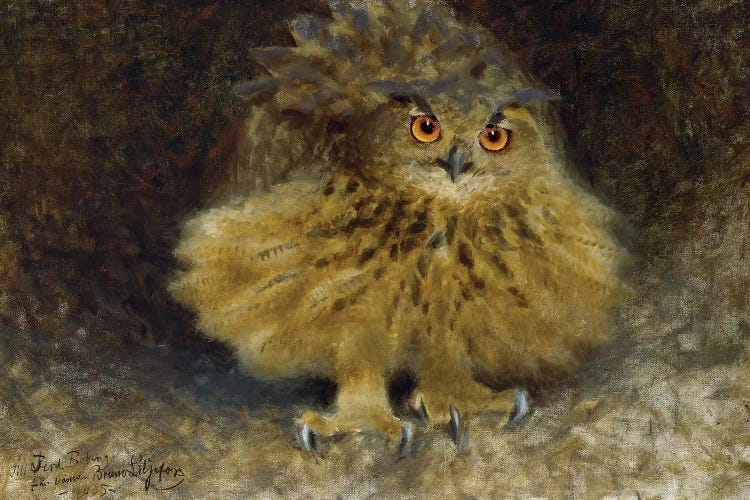 Liljefors: Owl, 1905 by Bruno Liljefors wall art