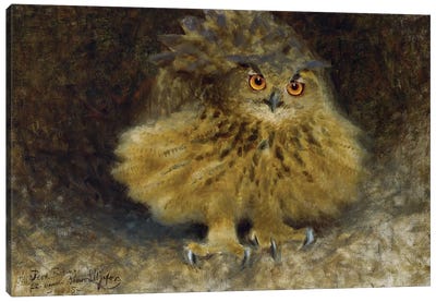 Liljefors: Owl, 1905 Canvas Art Print