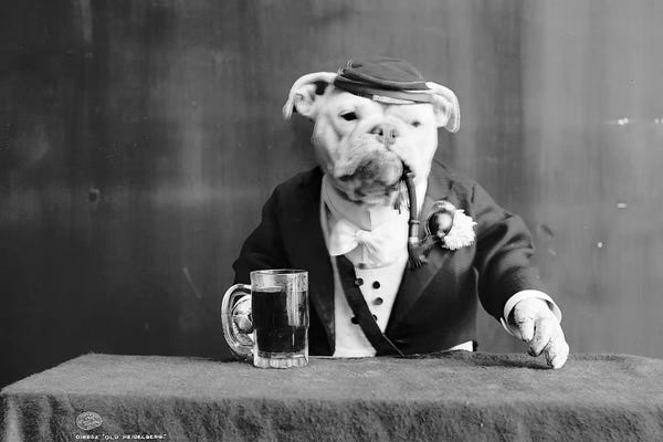The Granger Collection: Bulldog, C1905 by Unknown
