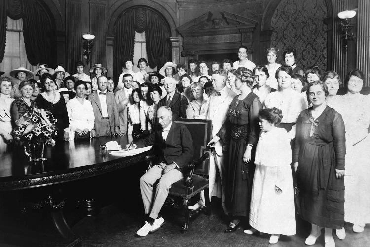 19Th Amendment, 1919 by Carl Deeg wall art