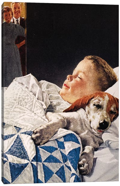 Dog Food Ad, 1956 Canvas Art Print