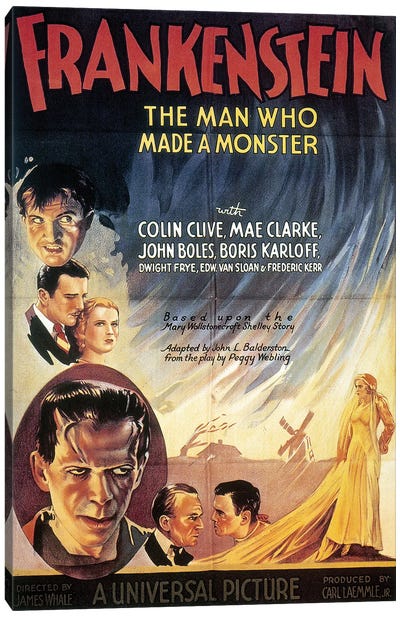 Film: Frankenstein, 1931 Canvas Art Print - Granger