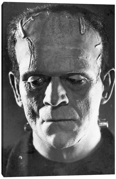 Frankenstein, 1931 Canvas Art Print - Monster Art