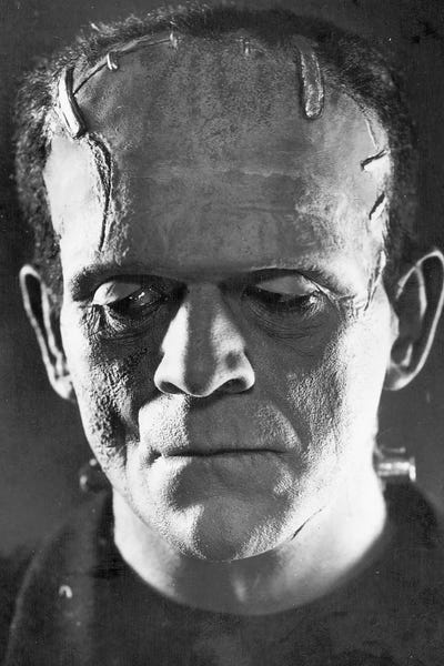 Monsters: Frankenstein, 1931 by Unknown