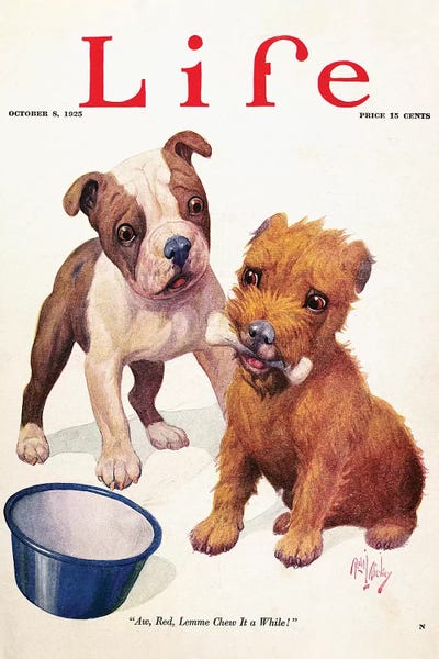 The Granger Collection: Magazine: Life, 1925 by Unknown