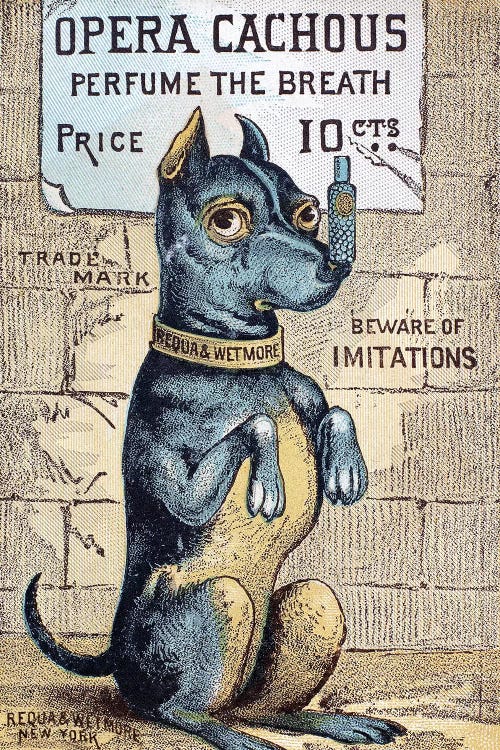 Perfume Advertisement
