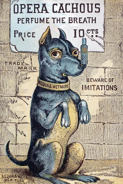 Perfume Advertisement