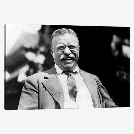 Theodore Roosevelt (1858-1919) Canvas Print #GER374} by Unknown Canvas Art