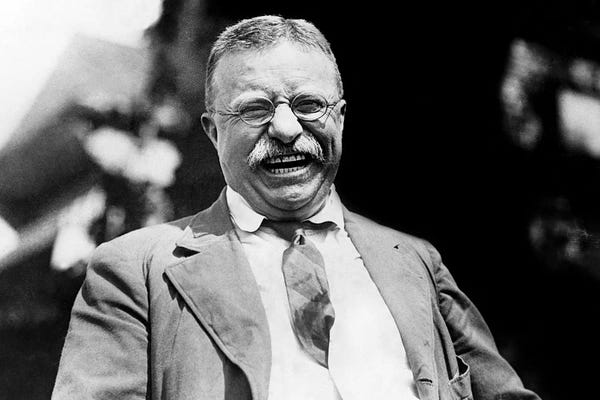 The Granger Collection: Theodore Roosevelt (1858-1919) by Unknown