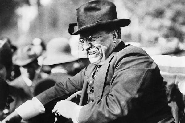 Theodore Roosevelt: Theodore Roosevelt (1858-1919) by Unknown