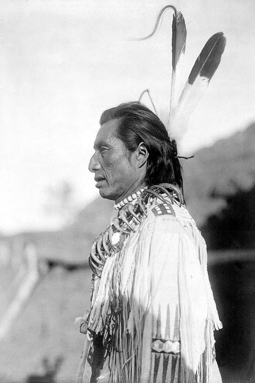 Mandan Medicine Man, C1908 by Edward S. Curtis wall art