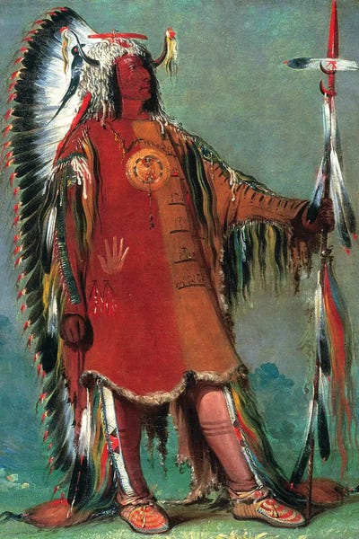Native American Décor: Catlin: Mandan Chief, 1832 by George Catlin