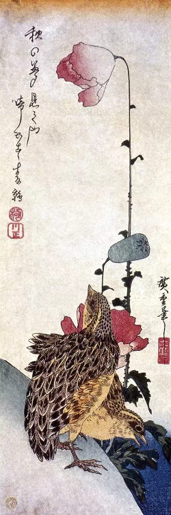 Hiroshige: Poppies