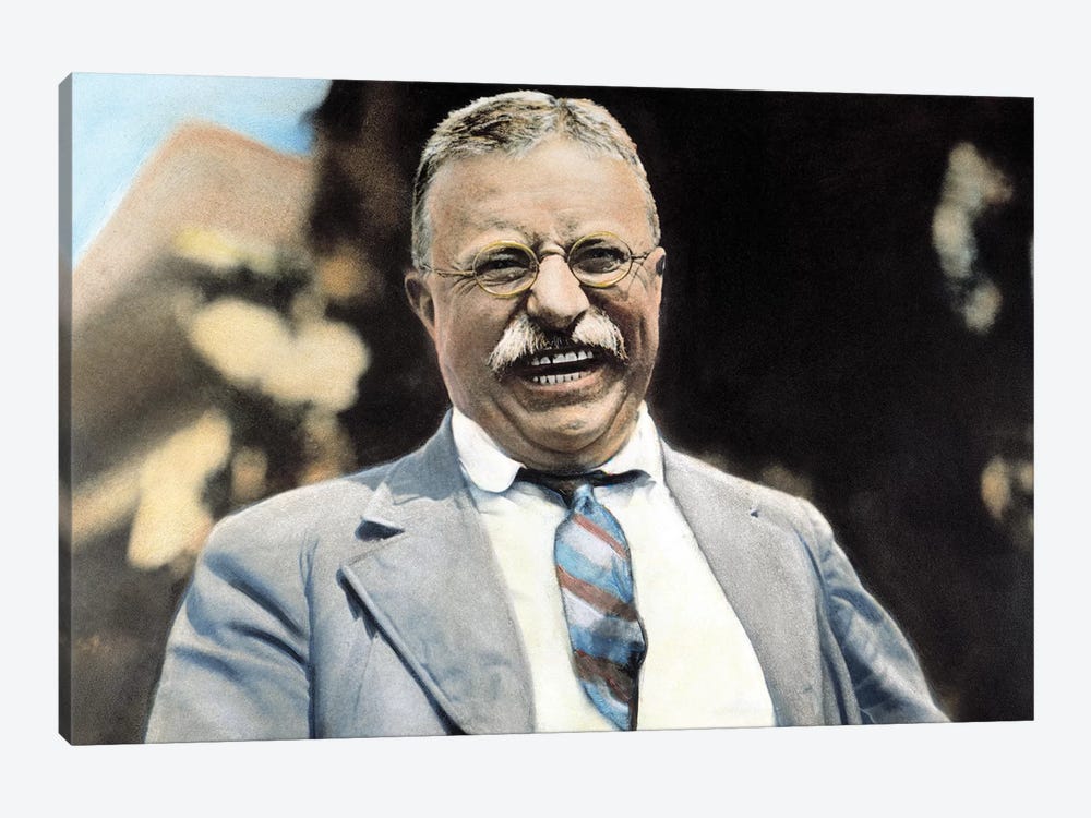 Theodore Roosevelt (1858-1919) by Granger 1-piece Canvas Artwork