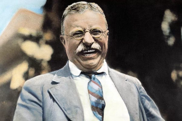 The Granger Collection: Theodore Roosevelt (1858-1919) by Granger