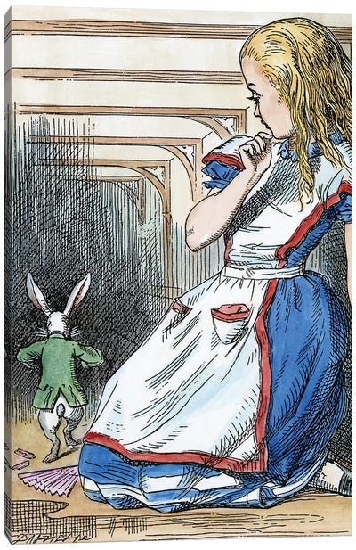 Alice In Wonderland, 1865 Canvas Art Print