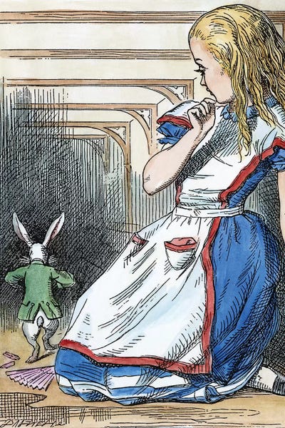Fictional Characters: Alice And The White Rabbit, Alice In Wonderland, 1865 by John Tenniel
