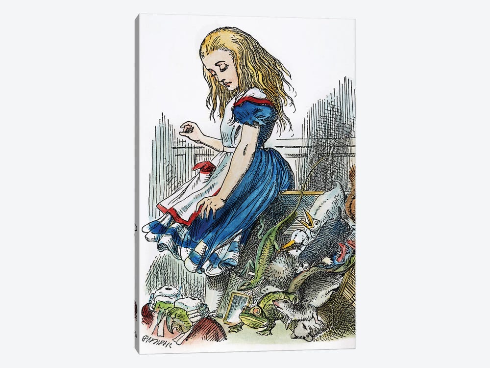 Carroll: Alice, 1865 by John Tenniel 1-piece Canvas Artwork