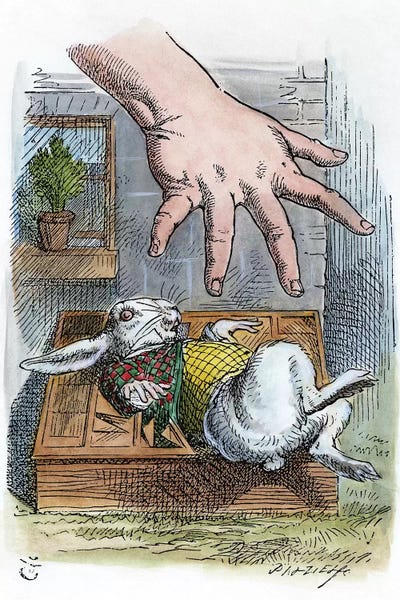 Fictional Characters: Carroll: Alice, 1865 by John Tenniel