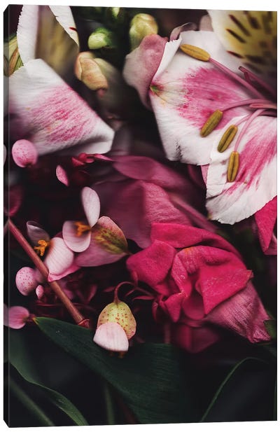 Seja II Canvas Art Print - Large Floral & Botanical Art