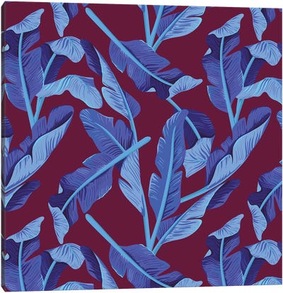 Tropical XVII: Bluebird Canvas Art Print - Tropical Décor