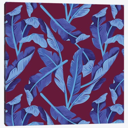 Tropical XVII: Bluebird Canvas Print #GES113} by Galaxy Eyes Canvas Wall Art