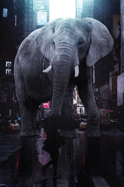 Giant Elephant In Rainy Street by GEN Z framed canvas print