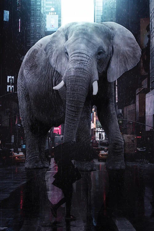 Giant Elephant In Rainy Street