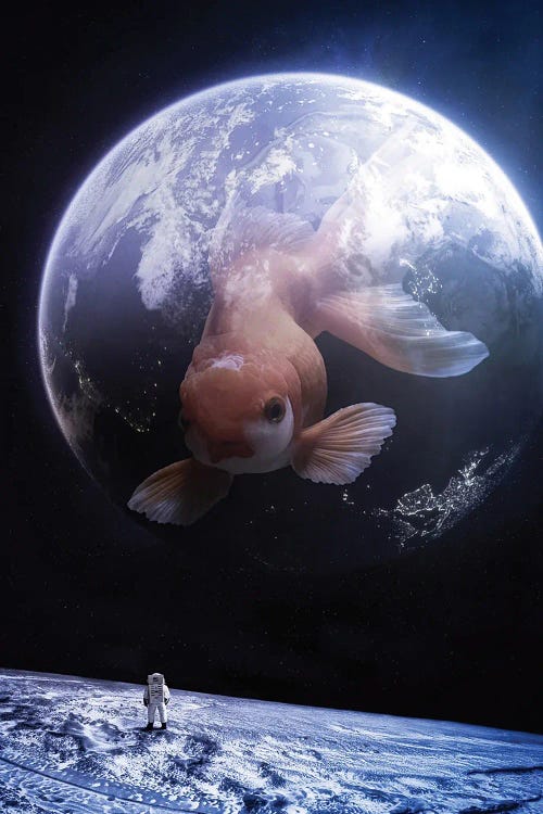 Giant Goldfish In Space With Bubble Earth