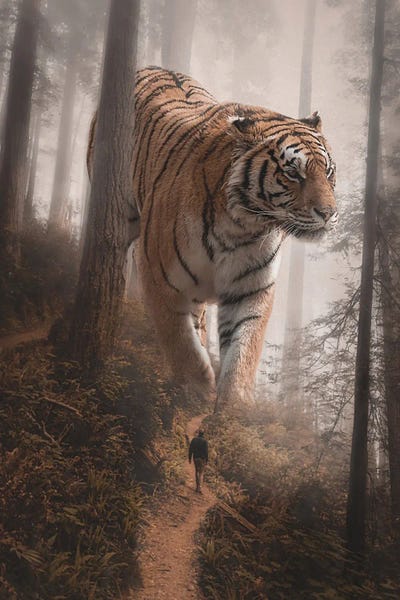 Giant Tiger Walking In Forest by GEN Z framed canvas print