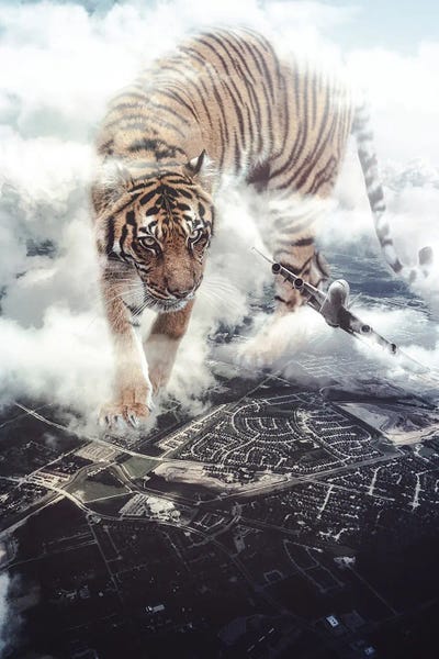 Giant Tiger Want To Play With Plane by GEN Z framed canvas print