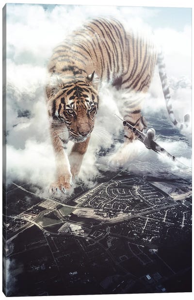Giant Tiger Want To Play With Plane Canvas Art Print - Gentle Giants