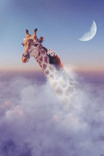 Giraffe And Red Panda In Clouds by GEN Z framed canvas print