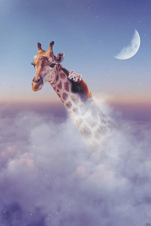 Giraffe And Red Panda In Clouds