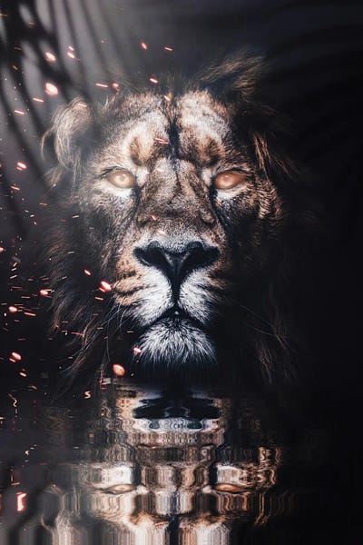 GEN Z: Golden King Lion Reflection In Water by GEN Z